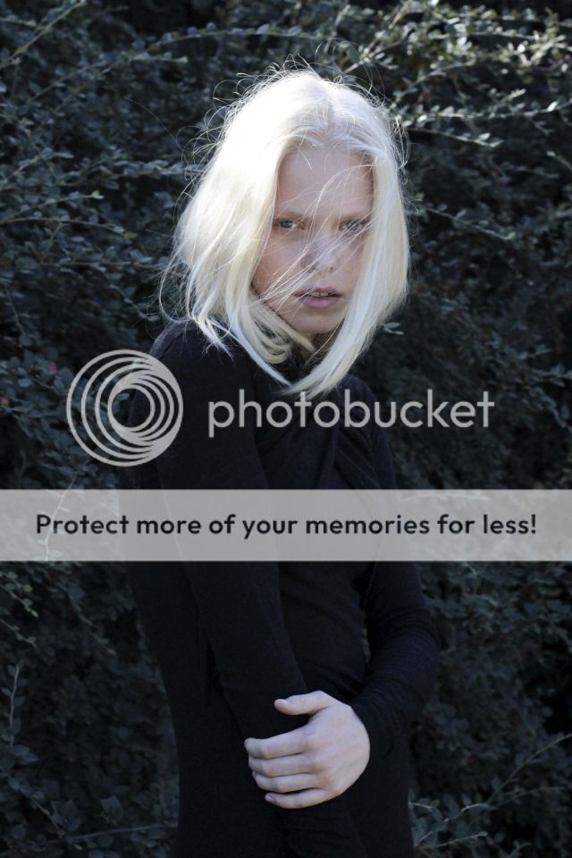 photo 2bce3caf-9177-4c50-9af9-95b60db9bef1.jpg