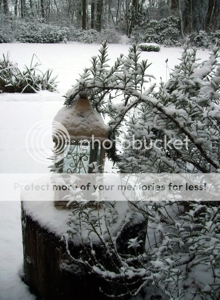 Winter 2010 2