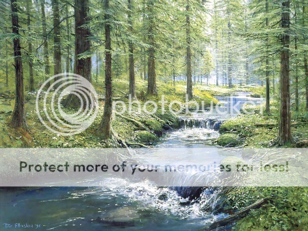 Fine-Art-Garden-Within-Forest-Stream-1b6