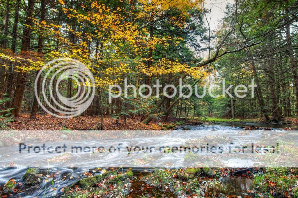 Shallow_Stream_in_Rock_Hill_NY_zpsb6430d