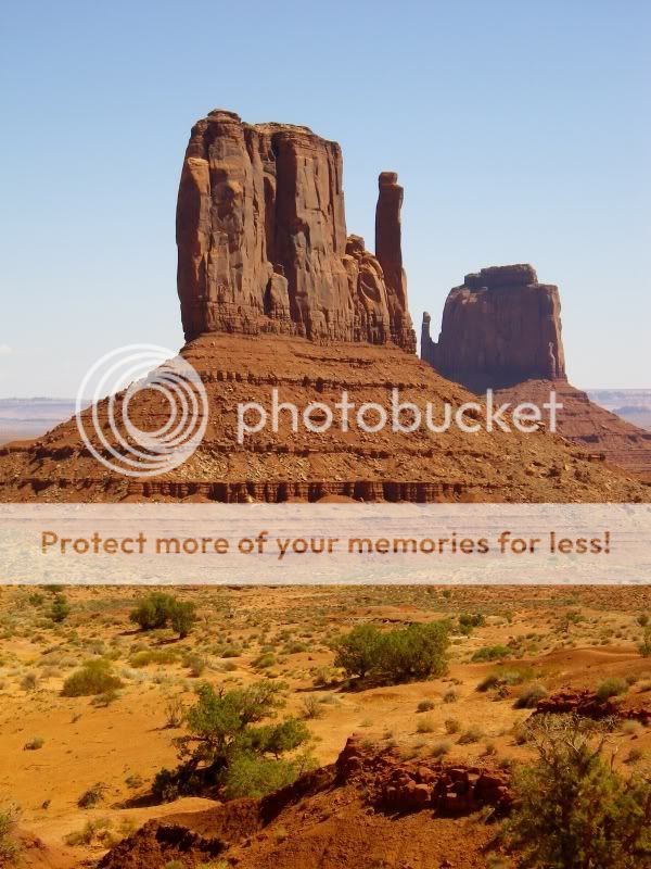 Posted Image