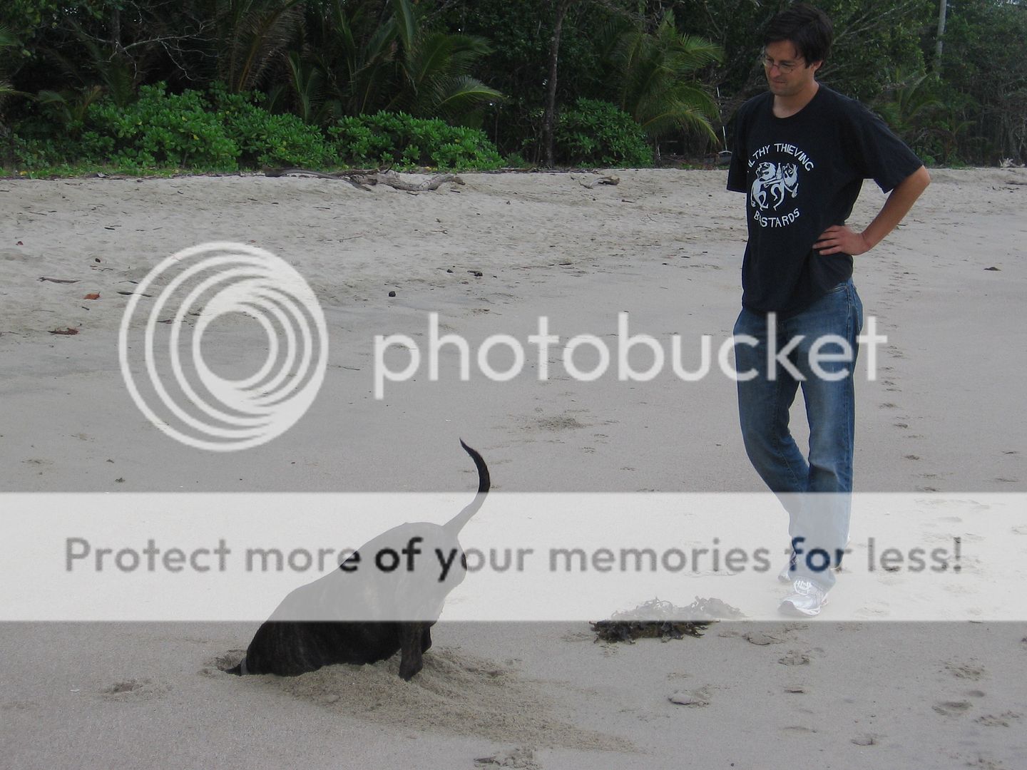 She found something interesting. Pictures, Images and Photos