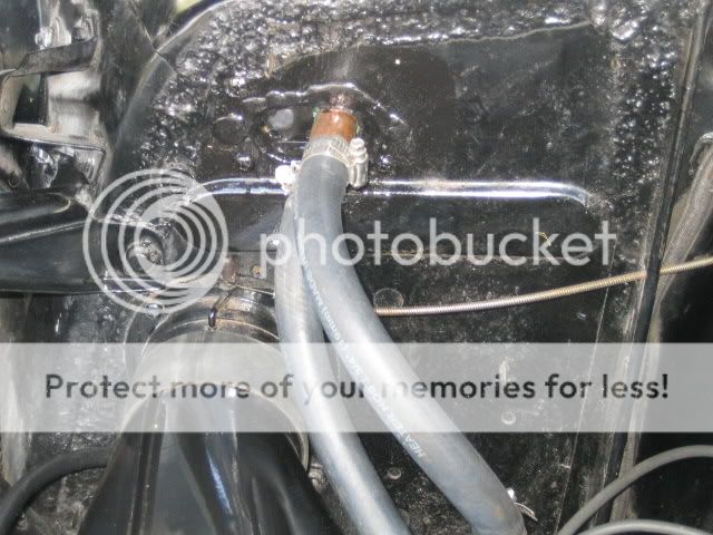 [Linked Image from i905.photobucket.com]