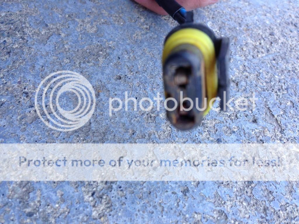 dielectric grease for headlights