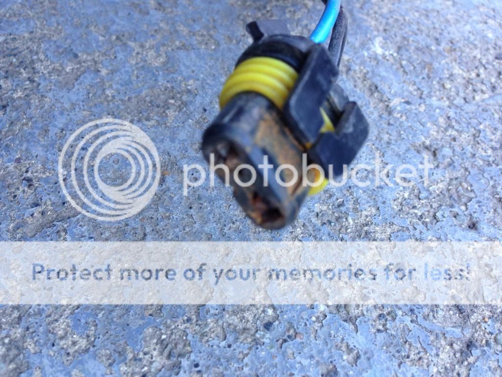 dielectric grease for headlights