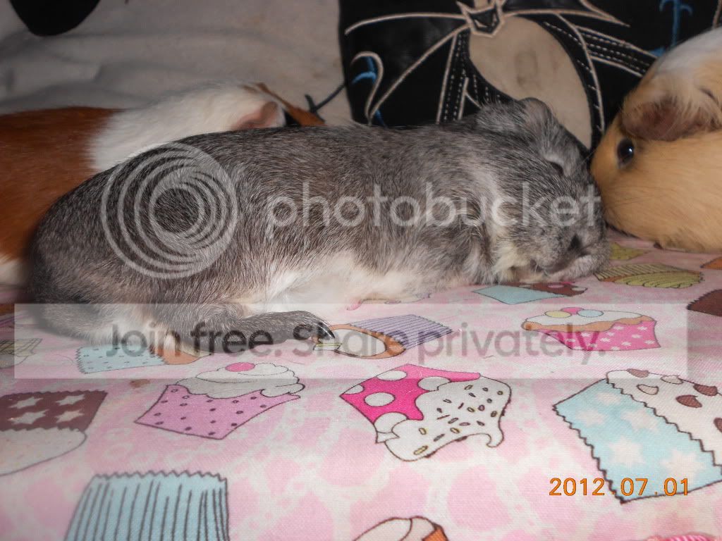 DSCN0182.jpg