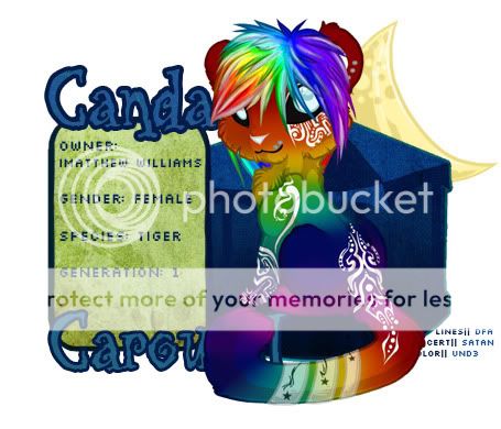 User Image